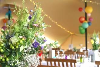 Wedding, 2015, Bradford-on-Avon Wiltshire Stretch tent